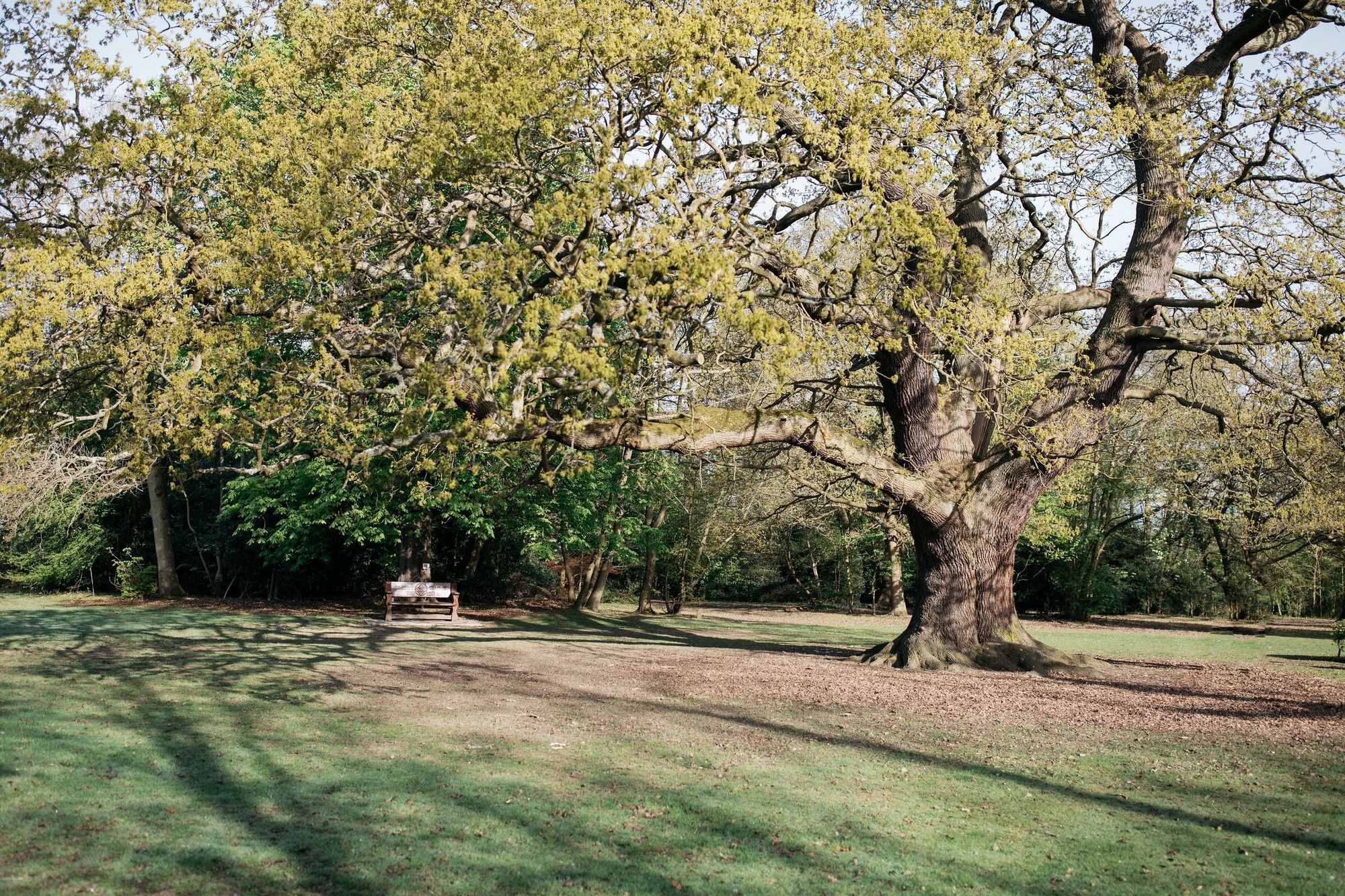 Gilwell Park Hotel Chingford Eksteriør billede
