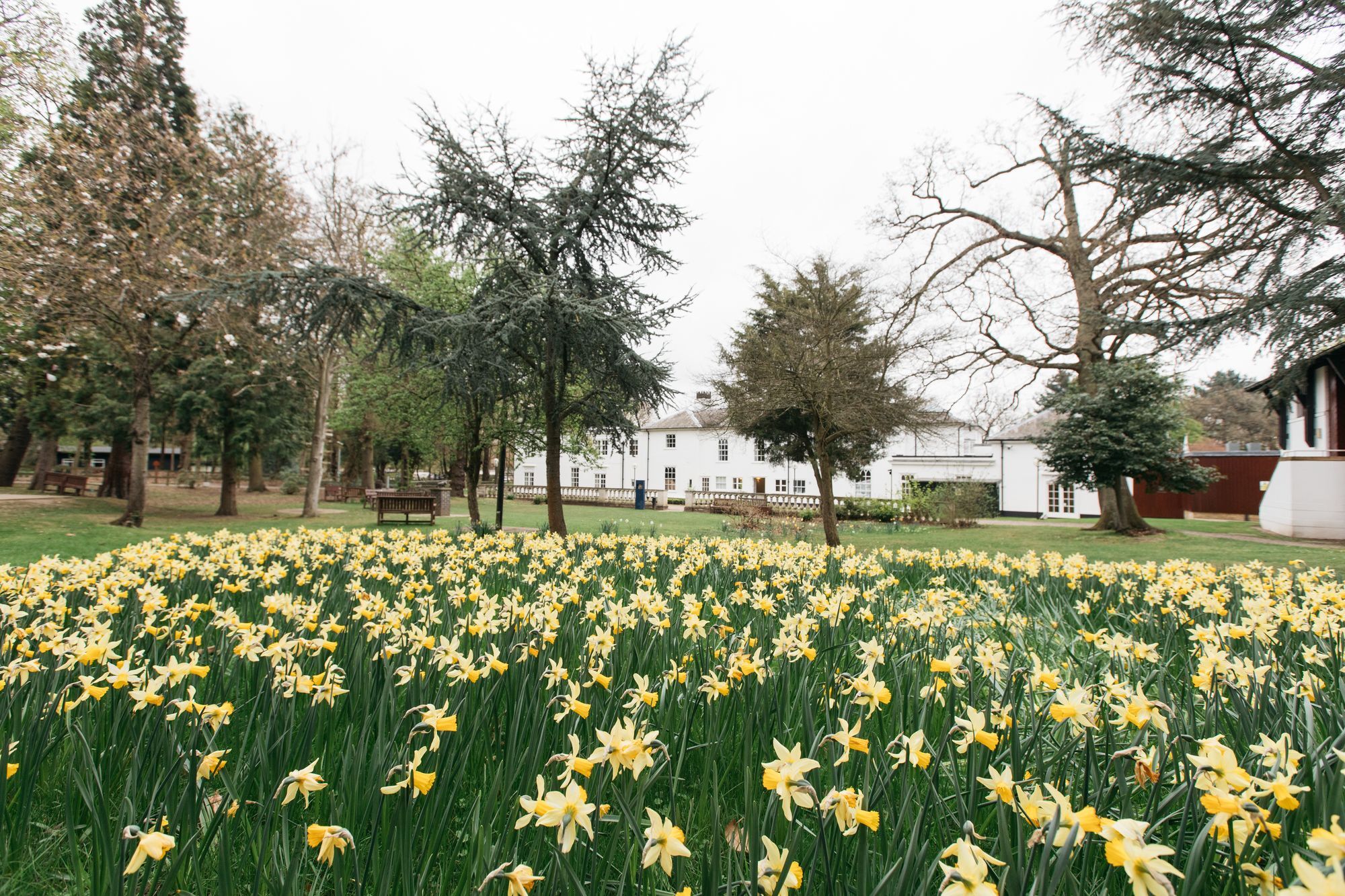 Gilwell Park Hotel Chingford Eksteriør billede